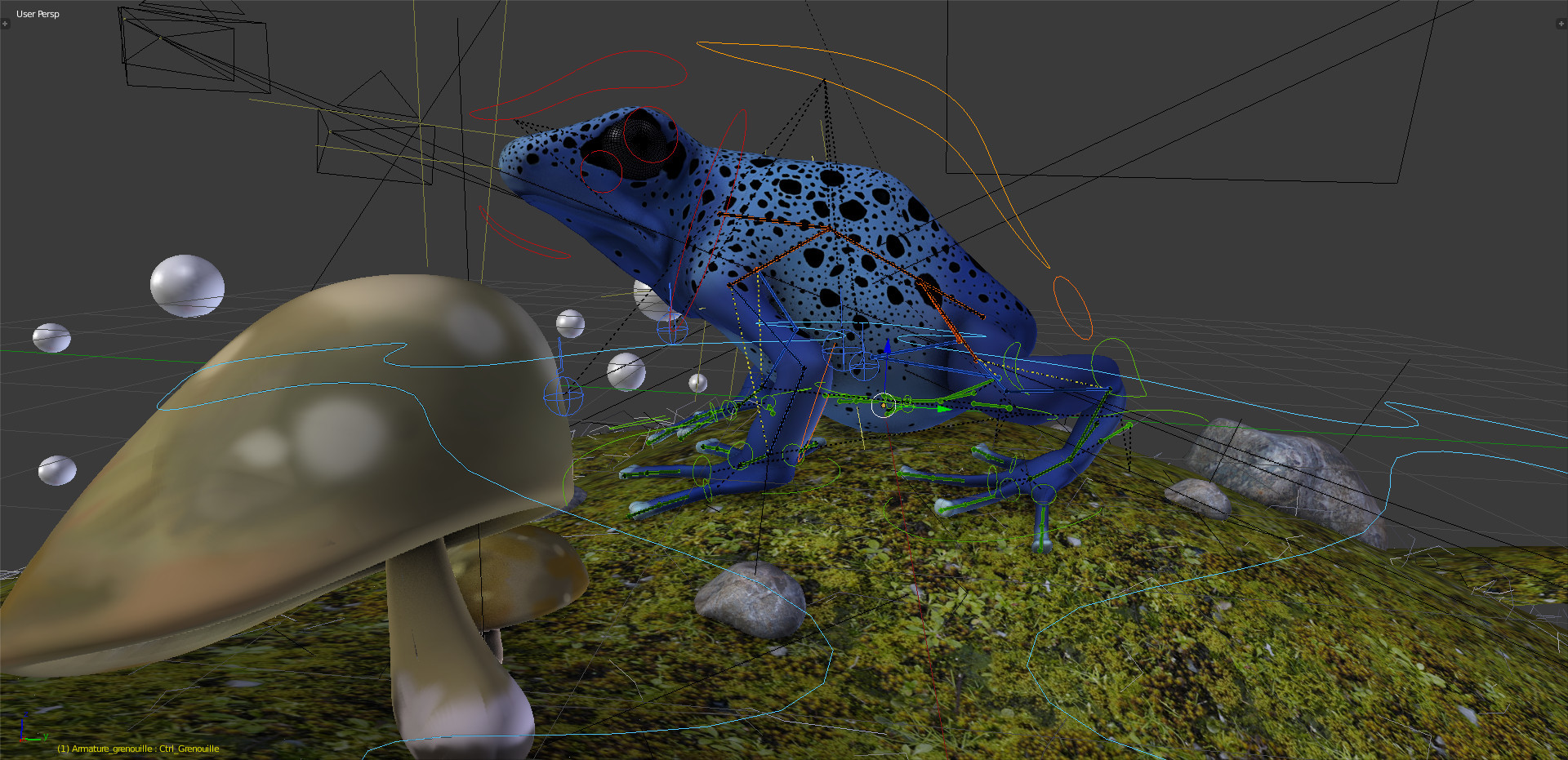 images/graphisme-3d/animaux/grenouille