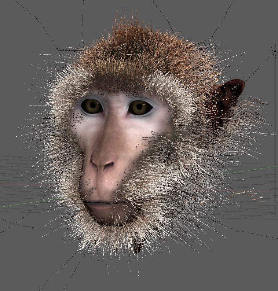 images/graphisme-3d/animaux/macaque