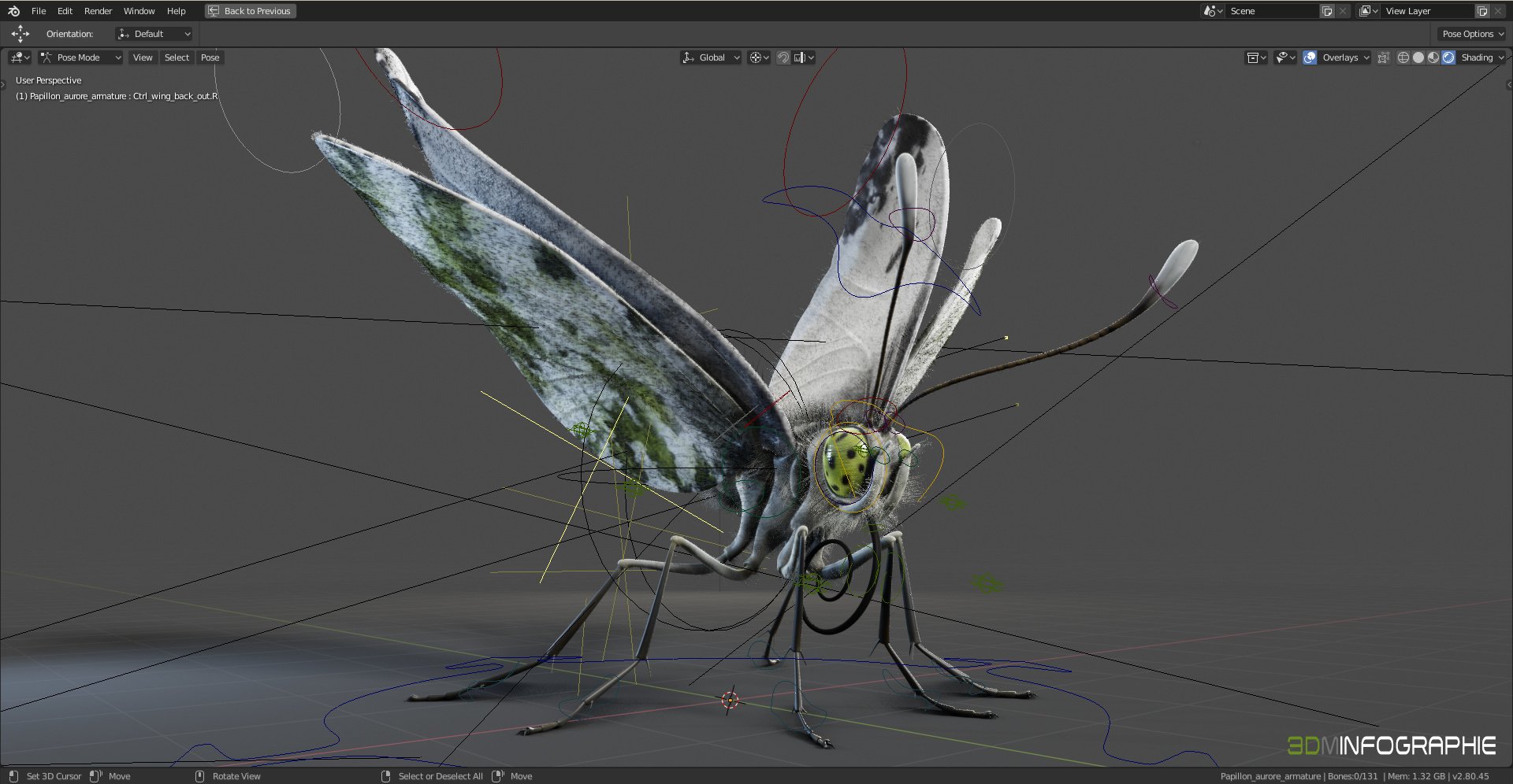 /images/graphisme-3d/insectes/papillon_aurore/screenshot_butterfly-00